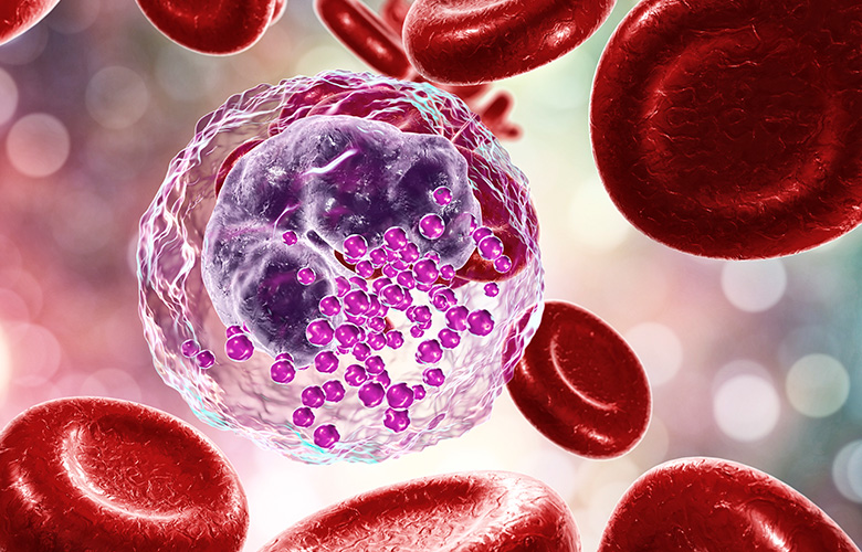 The Modulatory Effects of a PI3Kδ Specific Small Molecule Inhibitor (IOA-244) on Basophil Degranulation Measured by Flow Cytometry