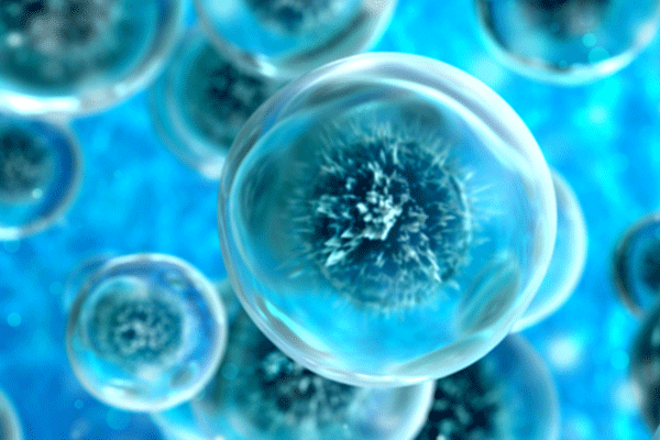 Cell abstract concept. Under microscope. 3d render illustration