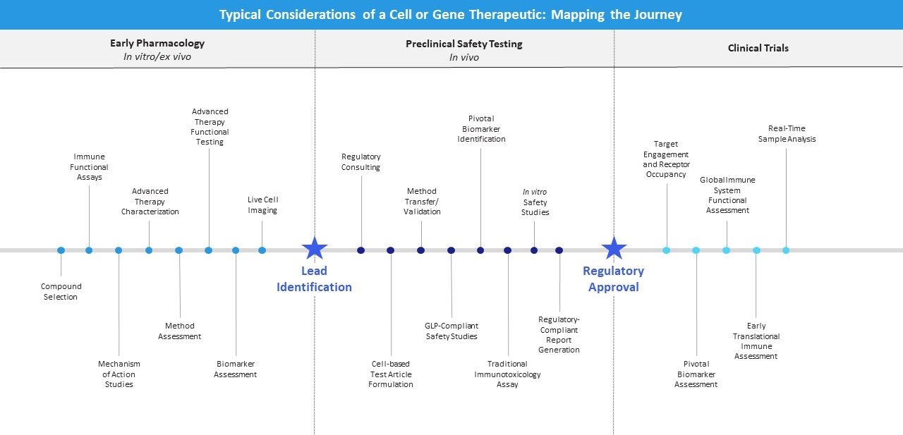 Image of cell or gene therapeutic journey map